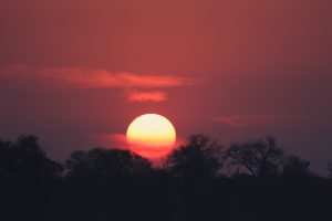 Home Southern Stars Safaris Kruger Safari luxury
