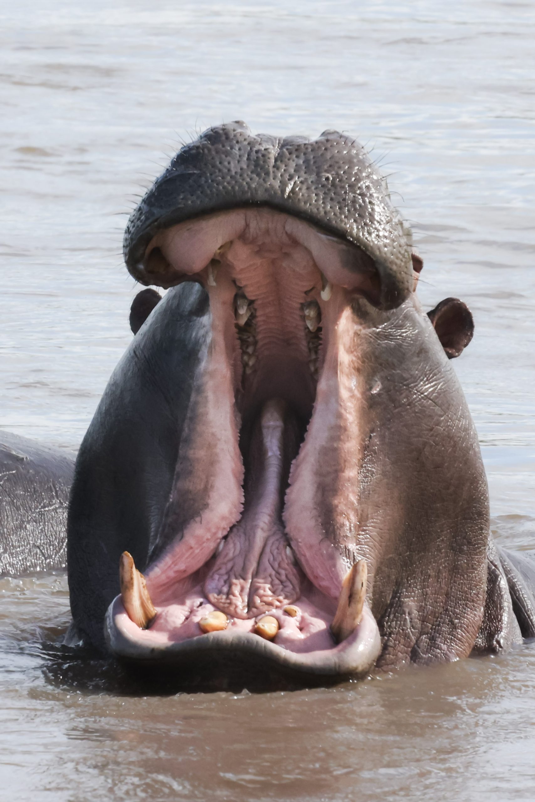 Southern Stars Safaris Kruger Safari luxury